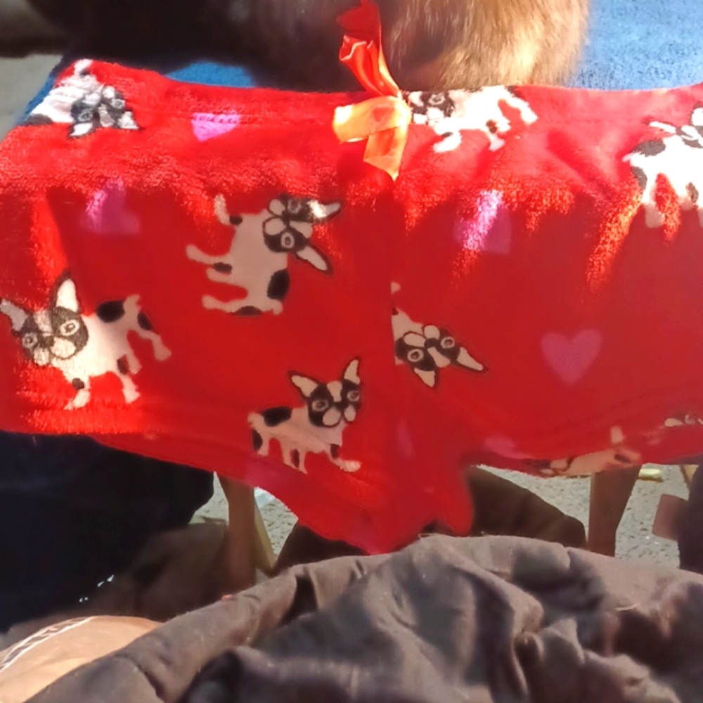 COPY - Bulldog Sleep shorts